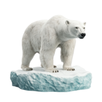 Polar bear standing on an ice floe, isolated on transparent background. png