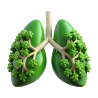 Conceptual eco-friendly human lungs made of green plants 3d illustration isolated on the transparent background png
