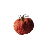 Visual representation of dried tomatoes on a transparent canvas png