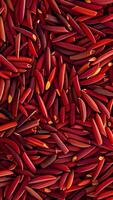 Rotating background of red rice video