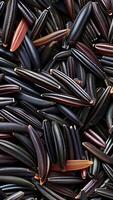 Rotating background of wild rice video