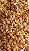 Rotating background of lots of sesame seeds vertical slowmo video
