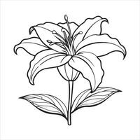 Lily flower line art EPS illustration vector