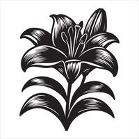 Lily flower silhouette file vector