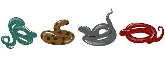 Set of snakes of different colors and shapes on white background, Snakes Clip art vector