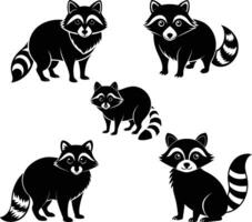 Set of raccoons vector