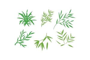 Green Leafy Branches - Botanical Illustrations. vector