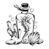 Seahorse, shell sponge inside glass bottle jar with cork sea pebbles and water bubbles. Hand drawn graphic illustration in black and white color line art. Sublimation arrangement on marine theme vector