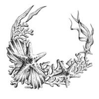 Corals, seaweed, shells, corals and starfish. Hand drawn graphic illustration in black and white color line art. Frame wreath template on a sea theme vector
