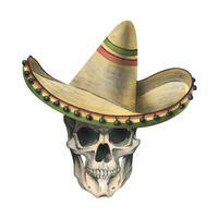Front view human skull wearing a sombrero hat. Hand drawn watercolor illustration for day of the dead, halloween, Dia de los muertos. Isolated object on a white background vector