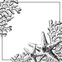 Starfish with coral branches. Hand drawn graphic illustration in black and white color line art. Square frame, wreath, text placeholder on a marine theme vector
