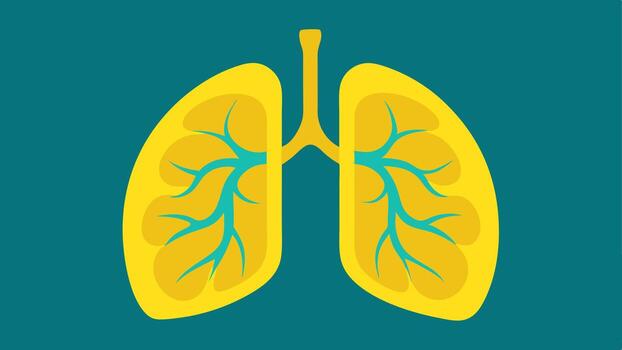 pulmón salud escanear un detallado mri segmento demostración el livianos con vías respiratorias destacado en amarillo a indicar sano función y capacidad para longevidad mediante respiratorio salud.. vector