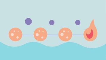 Wrinkle Reduction Timeline A timeline illustration showing progression over weeks with skin texture improving from wrinkled to smooth with exosome serum applications.. vector