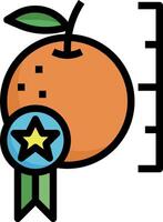 An orange with a star and a ribbon vector