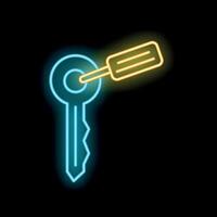 Neon key with tag glowing on black background vector