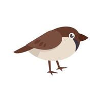 Small brown and tan bird standing on two legs vector