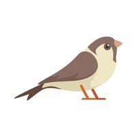 Small bird standing on ground looking right side vector