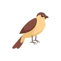 Small brown and beige bird standing side view vector