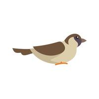Small brown and beige bird standing on branch vector