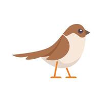 Cute sparrow bird standing on tiny orange legs vector