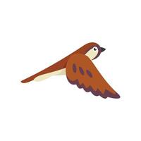 Brown sparrow bird flying with open wings vector