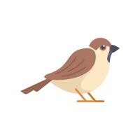 Small brown bird standing on tiny orange legs vector