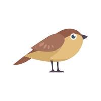 Small brown and yellow bird standing on tiny legs vector