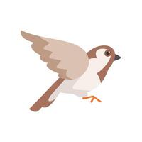 House sparrow bird flying with spread wings vector