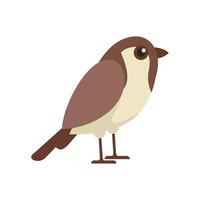 Little brown and beige bird standing side view vector