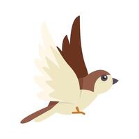 Cute sparrow bird flying with spread wings vector