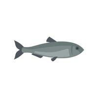 Atlantic herring fish swimming underwater side view vector