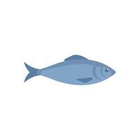 Atlantic herring fish swimming underwater side view vector