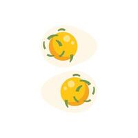 Boiled eggs with chives on white background vector