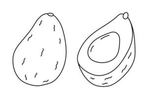 Detailed sketch of avocados showing exterior and halved interior on a plain background vector