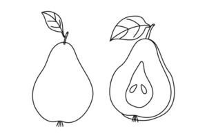 Sketch of a pear and sliced pear showcasing texture and shape on a white background vector