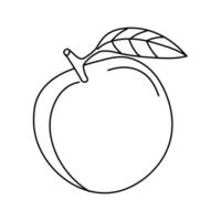 Simple line drawing of an apple with a leaf, showcasing the fruit's natural shape and features vector
