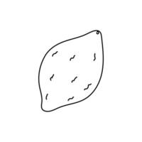 Simple hand-drawn illustration of a lemon with textured surface and unique shape vector