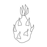 Simple line drawing of a dragon fruit with distinct spikes and unique shape on white background vector