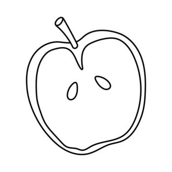 Simple outline of an apple depicting halved fruit with seeds on display vector