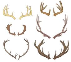 Set of six pairs of colored antlers, not symmetrical vector