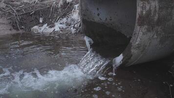 Dirty water flows from the pipe into the river, environmental pollution video