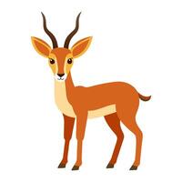 antelope animal flat style isolated on white background. vector