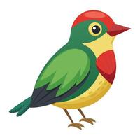 cuban tody bird flat style isolated on white background. illustration vector