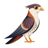 hawk bird flat style isolated on white background. illustration vector