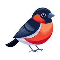 bullfinch bird flat style isolated on white background. illustration vector