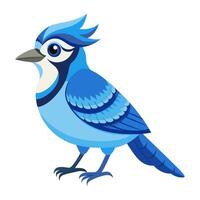 blue jay bird flat style isolated on white vector