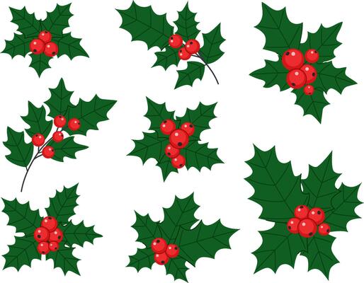 Christmas holly sprigs set with berries and leaves.