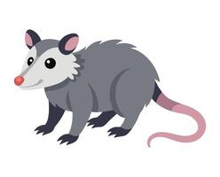 opossum animal flat style isolated on white background. illustration vector