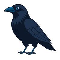 raven bird flat style isolated on white background. illustration vector