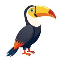 toucan bird flat style isolated on white background. illustration vector
